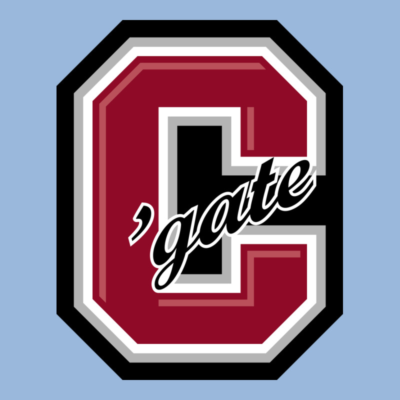 Colgate Raiders Premium Hoodie by linhVisuals | Teevron