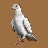 Dove Vintage Tee | Teevron