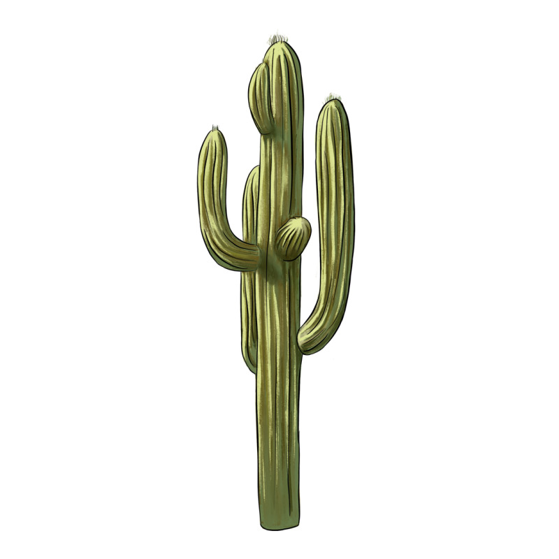 Cactus Premium Hoodie by BarkalooDesign | Teevron