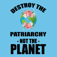 Destroy The Patriarchy Not The Planet Premium Sweatshirt | Teevron
