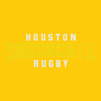 The Houston Sabercats Premium Hoodie | Teevron