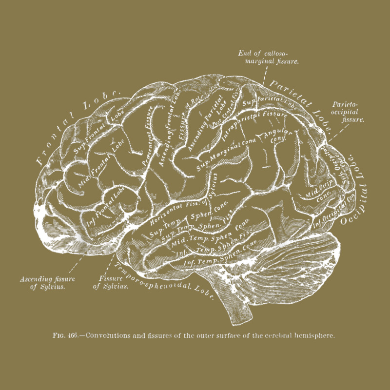 Vintage Human Anatomy Brain Tee T Tshirt Premium Hoodie by linhVisuals | Teevron