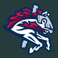 The-binghamton-rumble-ponies-pen Premium Hoodie | Teevron