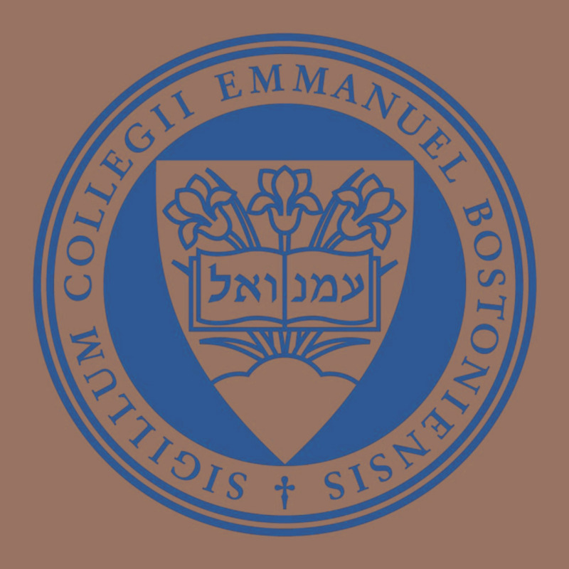 Emmanuel College Premium Hoodie by linhVisuals | Teevron