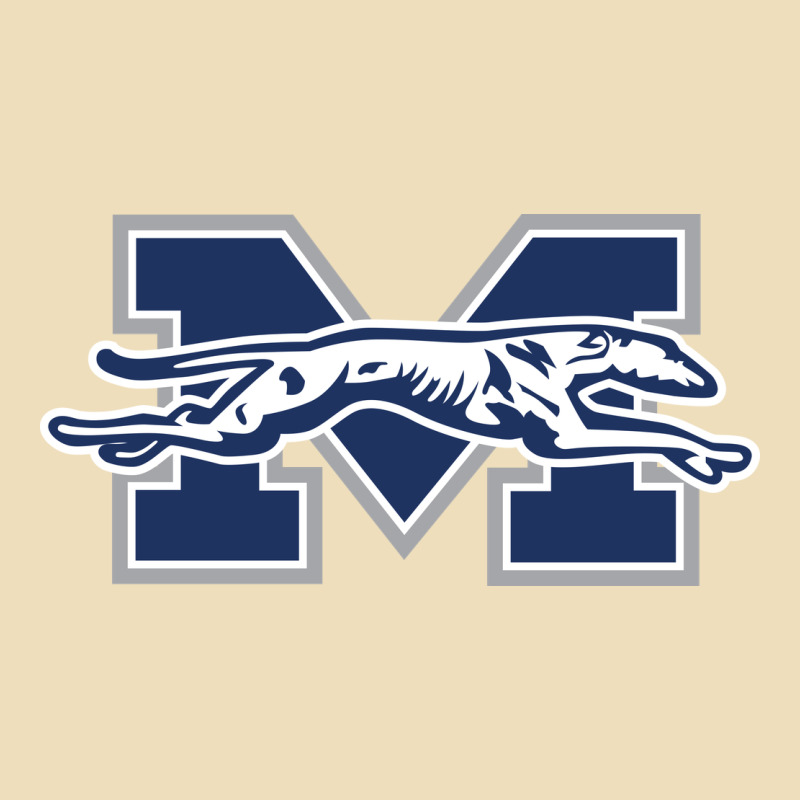 Moravian Merch, Greyhounds Premium Hoodie by linhVisuals | Teevron
