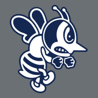 Ambrose University Fighting Bees Premium Hoodie | Teevron