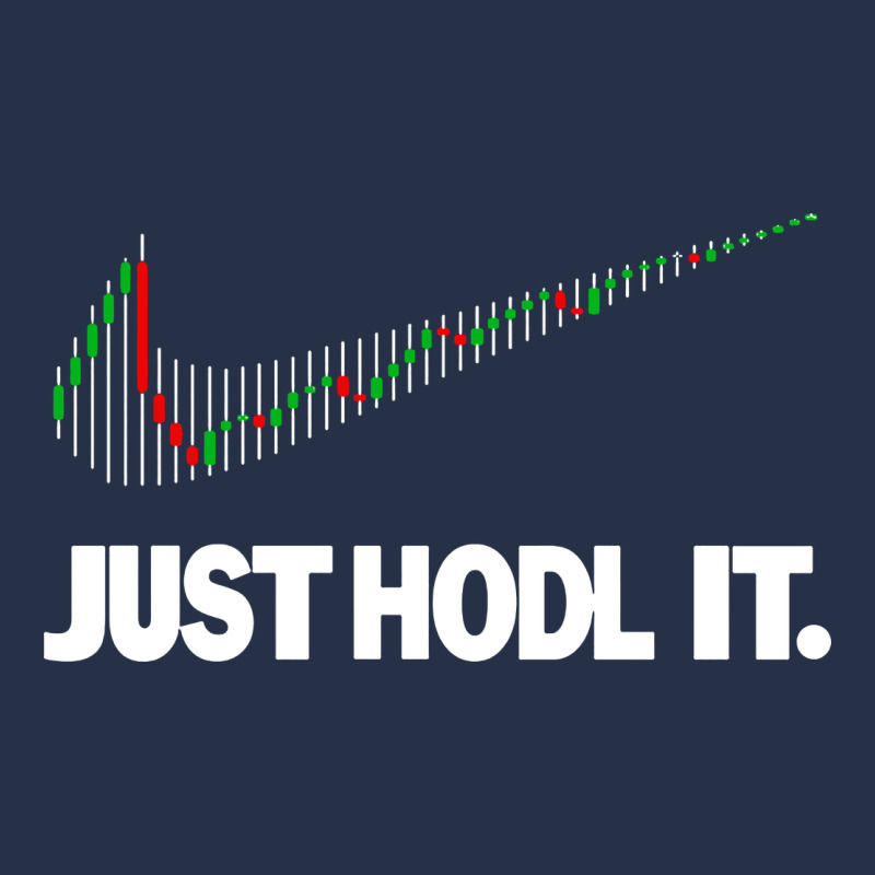 Just Hodl It Premium Hoodie by linhVisuals | Teevron