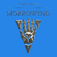 Morrowind Premium Hoodie | Teevron