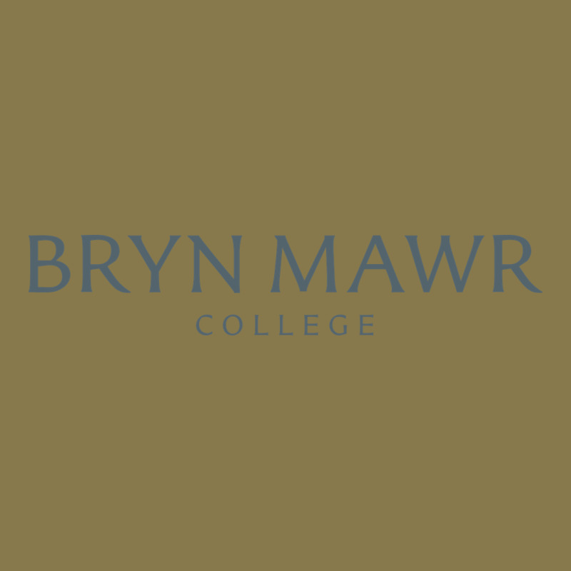 Bryn Mawr College Premium Hoodie by linhVisuals | Teevron