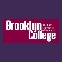 Brooklyn College Premium Hoodie | Teevron