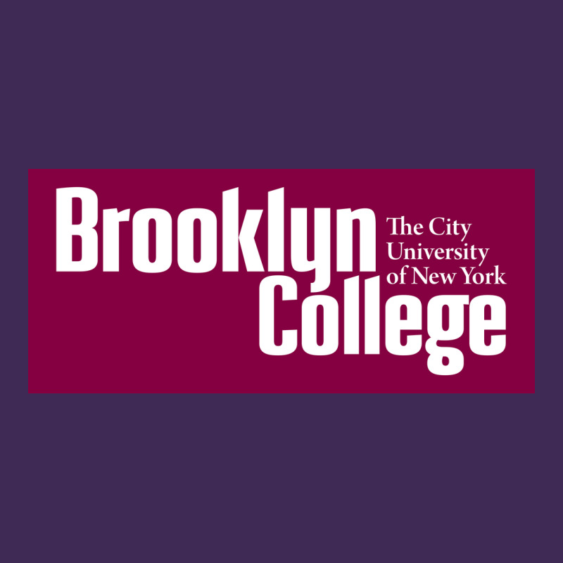 Brooklyn College Premium Hoodie by linhVisuals | Teevron