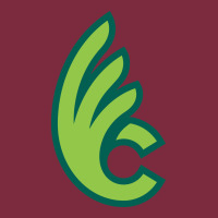 Wilmington College Quaqers Premium Hoodie | Teevron
