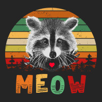 Funny Vintage Raccoon Meow Raccoon Lovers Premium Hoodie | Teevron