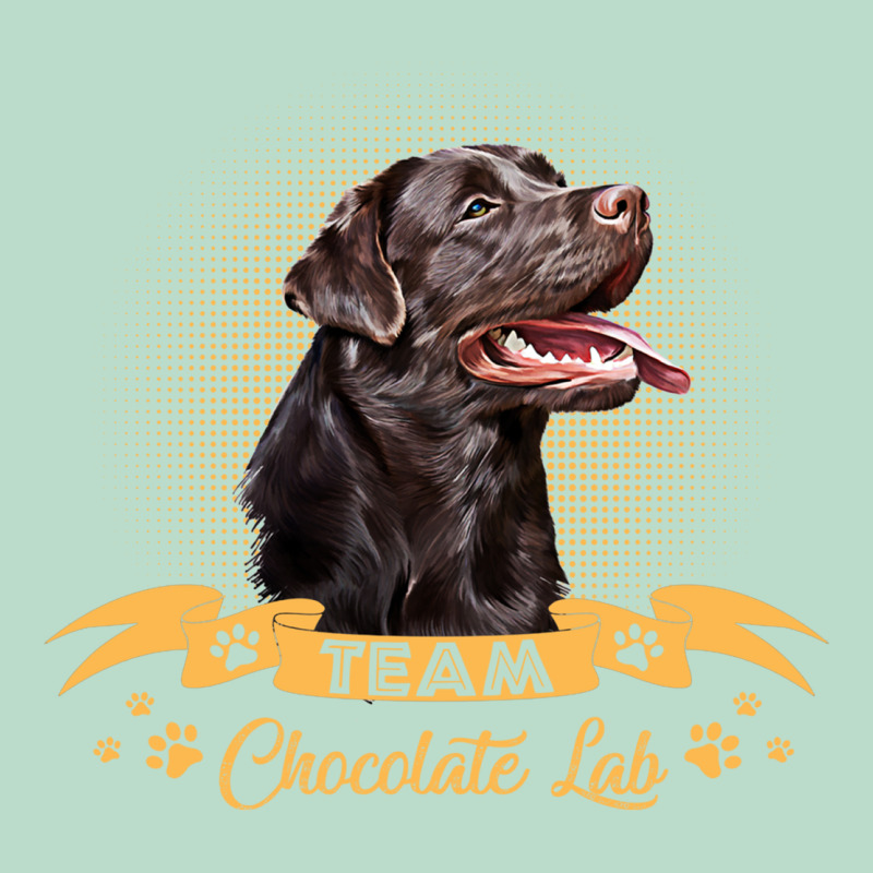 Labrador Retriever Team Chocolate Lab Funny Premium Hoodie by linhVisuals | Teevron