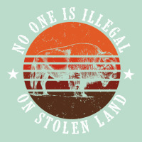 No One Is Illegal On Stolen Land 4th Of July Bison Premium Hoodie | Teevron