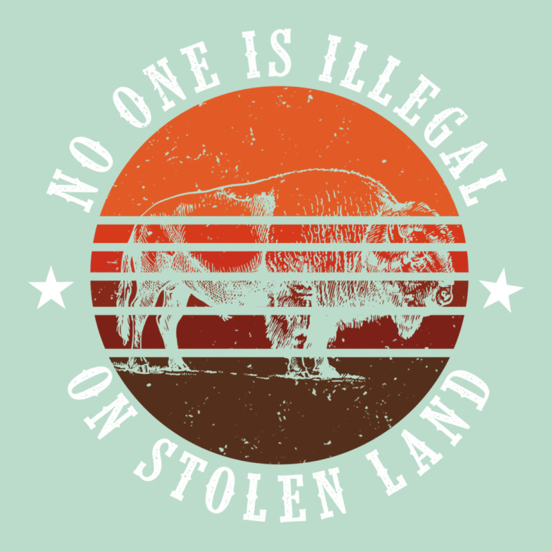 No One Is Illegal On Stolen Land 4th Of July Bison Premium Hoodie by linhVisuals | Teevron