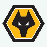 The-wolverhampton-wanderers-pen Premium Hoodie | Teevron