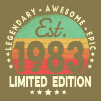 Est. 1983 Vintage 1983 Limited Edition 39th Birthday Retro Pullover Ho Premium Hoodie | Teevron