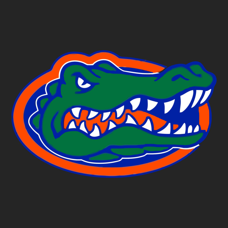 Go Florida Gators Football Premium Hoodie by linhVisuals | Teevron