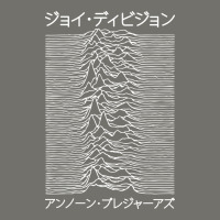 Joy Division - Unknown Pleasures - Japanese Premium Hoodie | Teevron