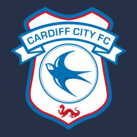 Cardiff-city-fc Premium Hoodie | Teevron