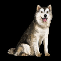 Alaskan Malamute Dog Ladies Tee | Teevron