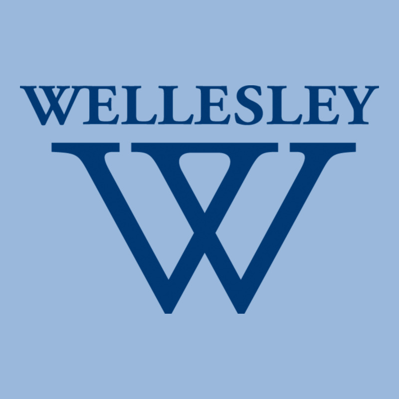 Wellesley College Premium Hoodie by linhVisuals | Teevron