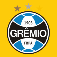 The-grêmio-pen Premium Hoodie | Teevron