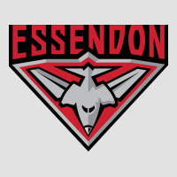 Essendon Fc Premium Hoodie | Teevron