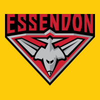 Essendon Fc Premium Hoodie | Teevron