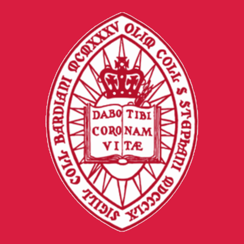 Bard College Premium Hoodie by linhVisuals | Teevron
