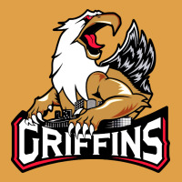 #the Griffins Grand Rapids Premium Hoodie | Teevron