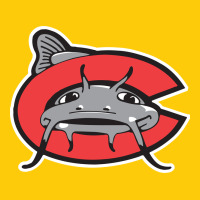 Carolina Mudcats Premium Hoodie | Teevron
