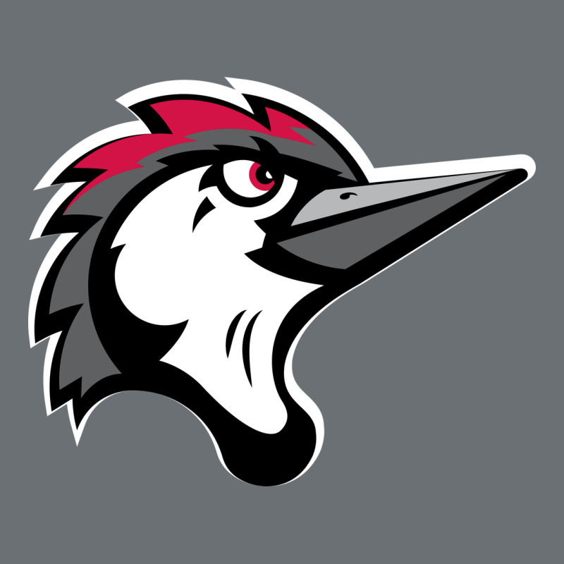 Fayetteville Woodpeckers Premium Hoodie by linhVisuals | Teevron