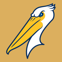 Myrtle Beach Pelicans Premium Hoodie | Teevron