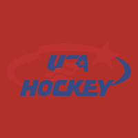 Usa Hockey Premium Hoodie | Teevron