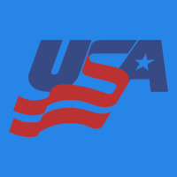 Usa Hockey Simple Premium Hoodie | Teevron