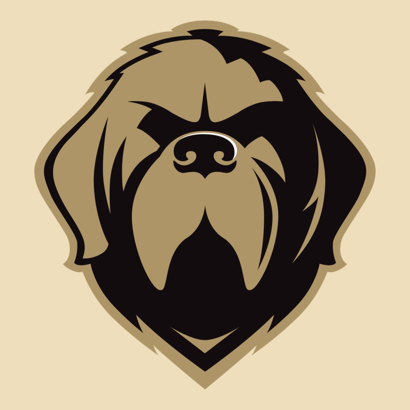 The-newfoundland-growlers-pen Premium Hoodie by linhVisuals | Teevron