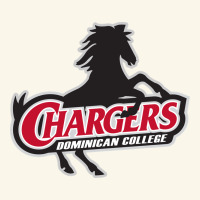 The Dominican Chargers Premium Hoodie | Teevron