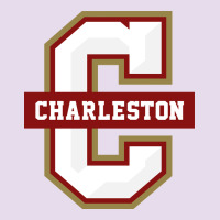 The Charleston Cougars Premium Hoodie | Teevron
