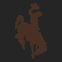 Wyoming Athletics Premium Hoodie | Teevron