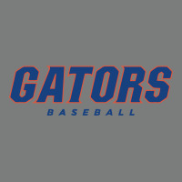 Gators Baseball Premium Hoodie | Teevron