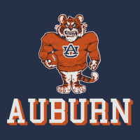 Auburn Tigers 02 Premium Hoodie | Teevron