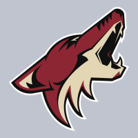 The-coyotes-of-arizona-sporst Premium Hoodie | Teevron