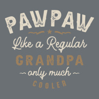 Mens Pawpaw Like A Regular Grandpa Funny Fathers Day Premium Hoodie | Teevron