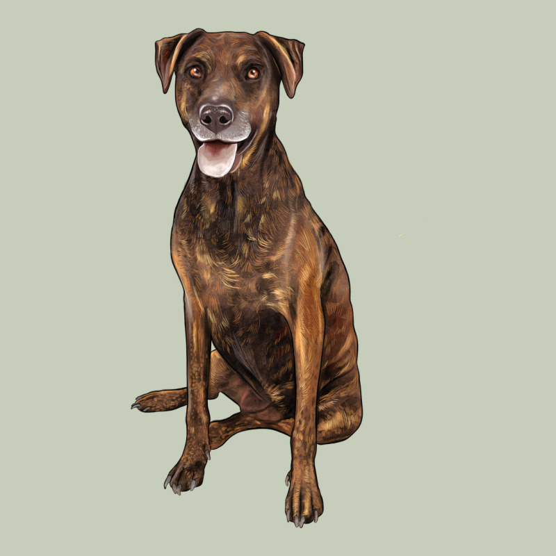 Plott Hound Ladies Tee by LillyAllenDesigns | Teevron