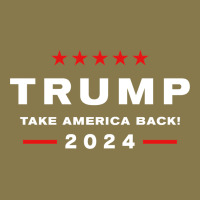 Donald Trump 2024 Take America Back Election   The Return Sweatshirt Premium Hoodie | Teevron