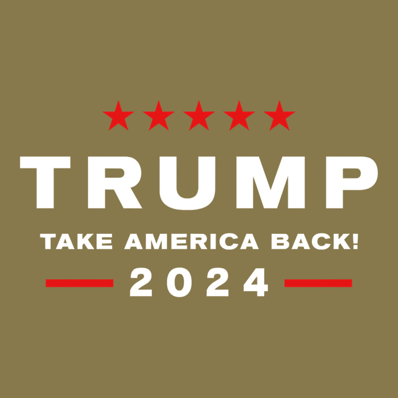 Donald Trump 2024 Take America Back Election   The Return Sweatshirt Premium Hoodie by linhVisuals | Teevron