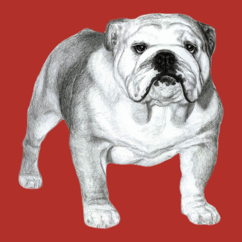 English Bulldog Art Premium Hoodie by linhVisuals | Teevron