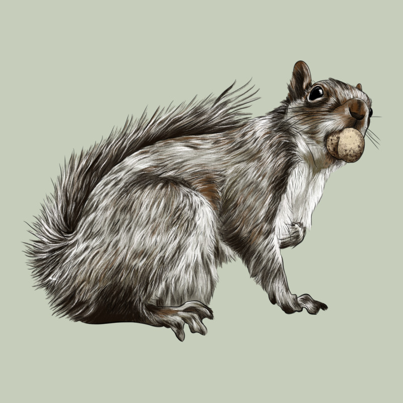 Gray Squirrel Ladies Tee by LillyAllenDesigns | Teevron